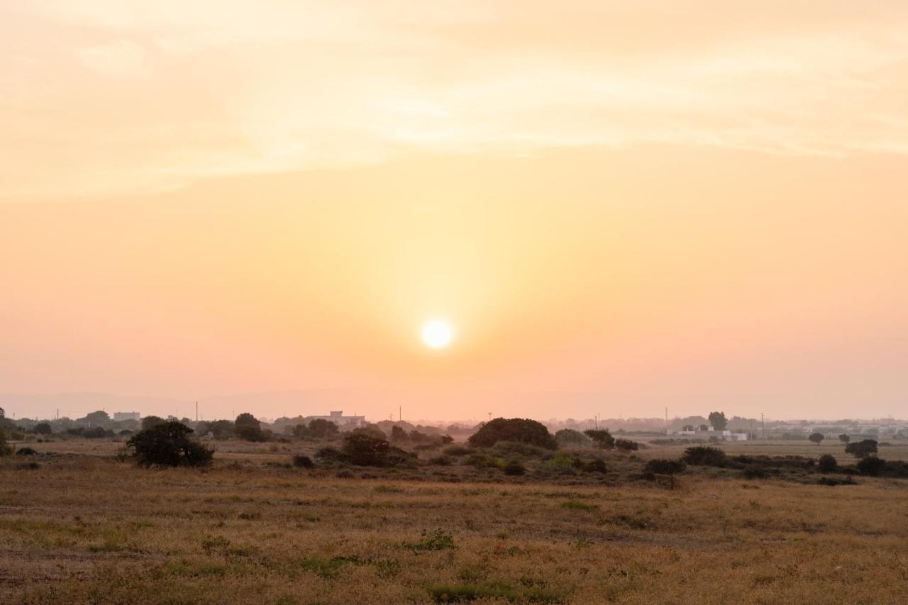 Masseria Gorgognolo Ostuni Dış mekan fotoğraf